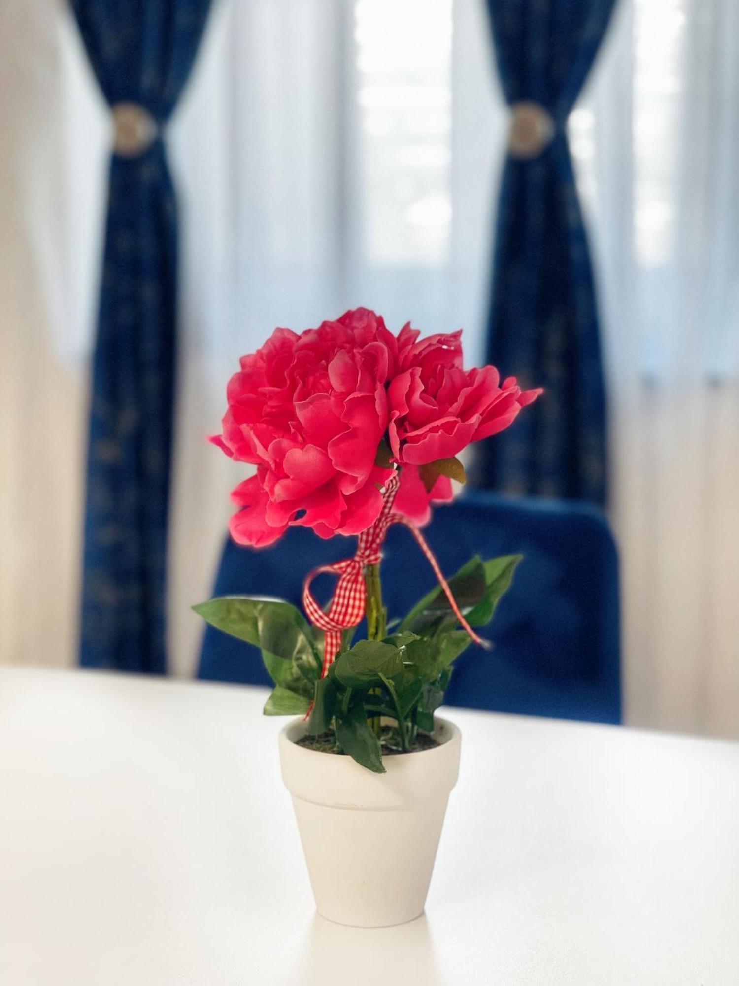 Rv Premium Apartments Arad Zewnętrze zdjęcie